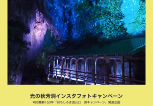 山口県秋吉台秋芳洞Instagramフォトキャンペーン