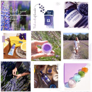 L'OCCITANE en Provence