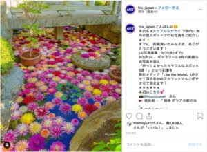 エイチ・アイ・エス(@his_japan)公式Instagramより