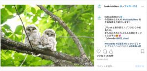 北海道Likers(@hokkaidolikers)公式Instagramより