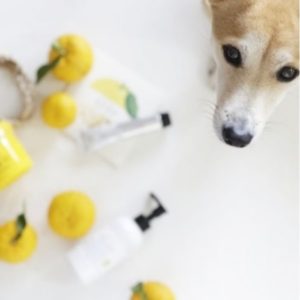 アイキャッチは顔の角度、目線が重要