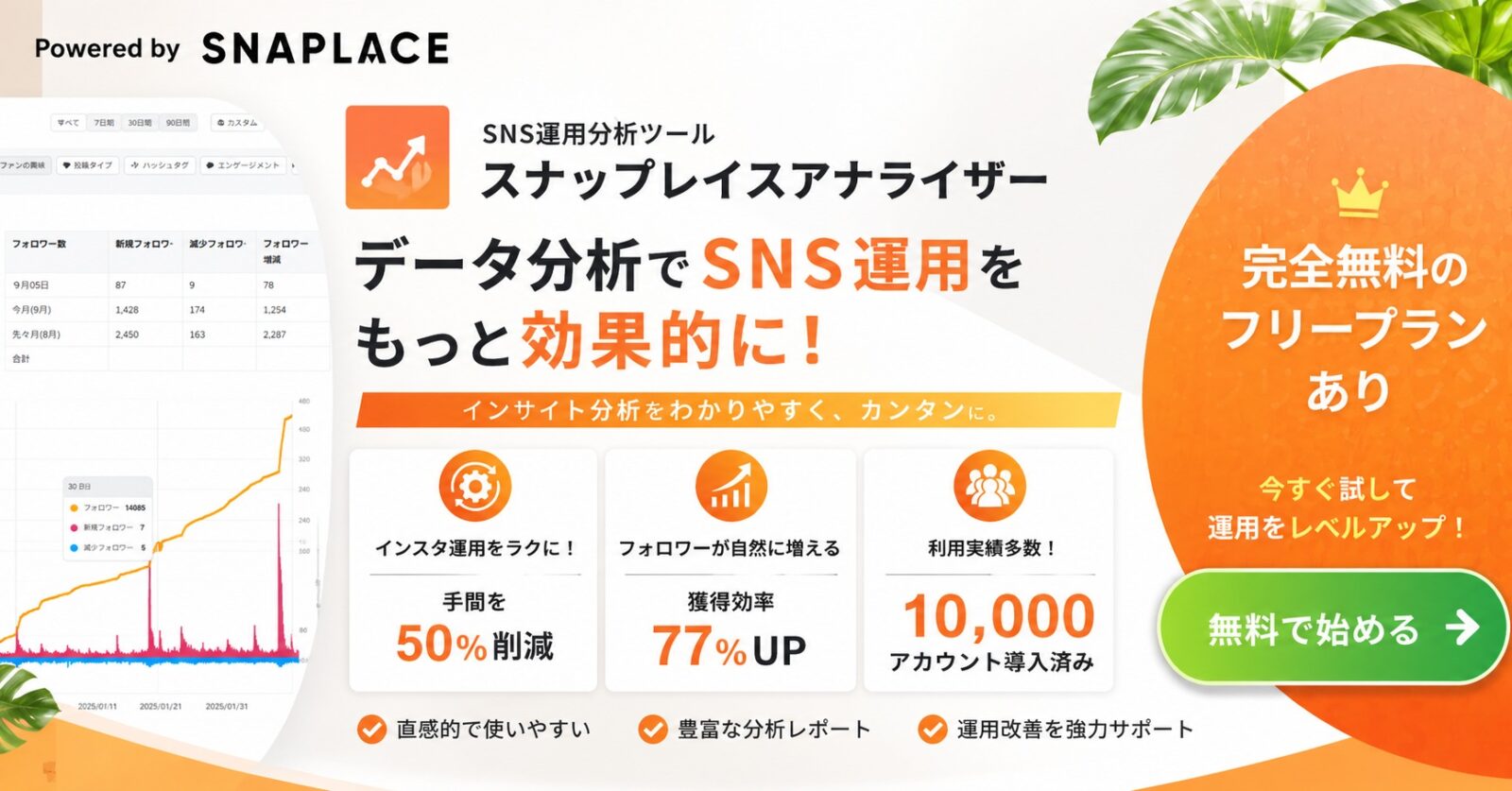 インスタグラム分析ツール